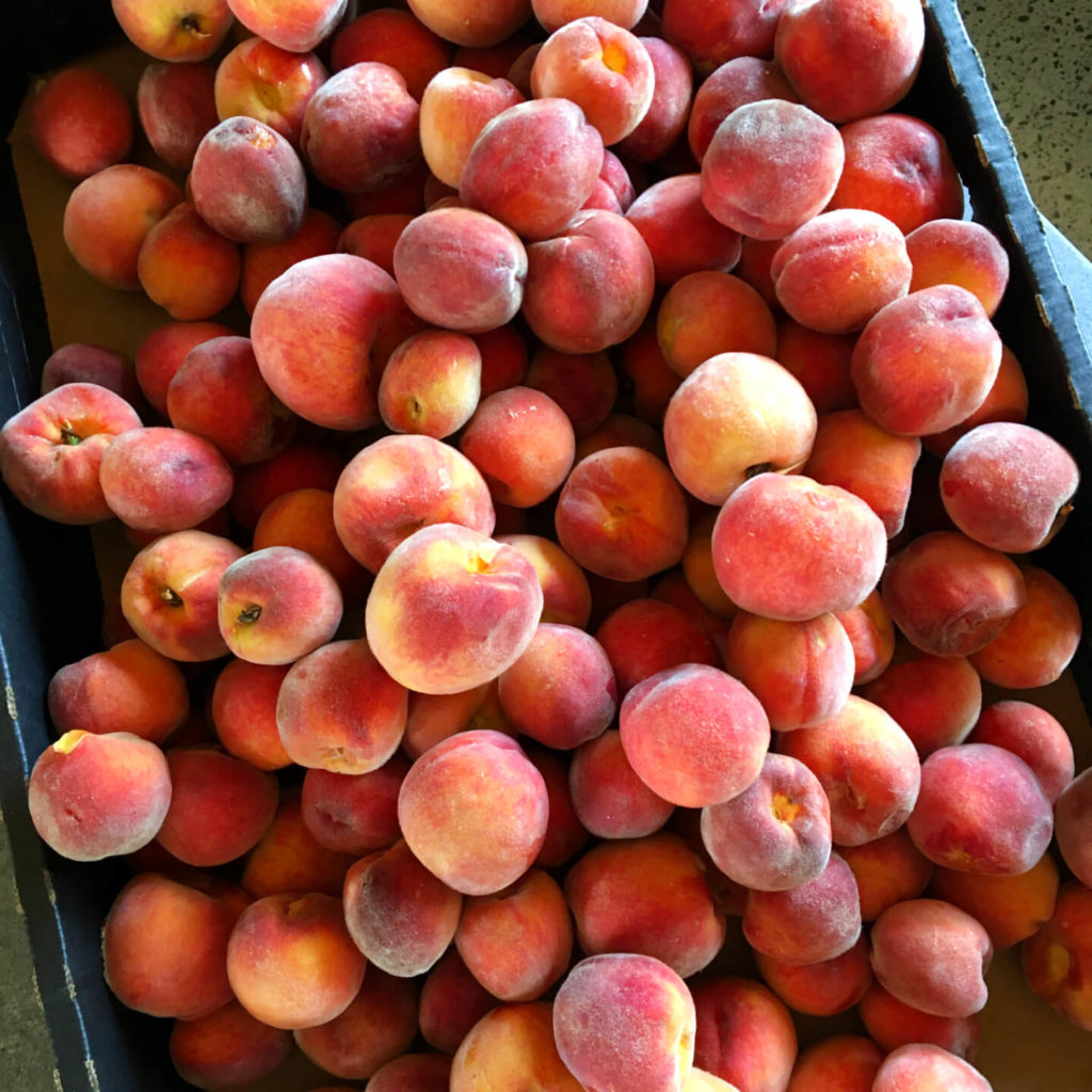 Fresh velvet skinned peaches from Mount Tamborine